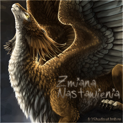 Awatar użytkownika