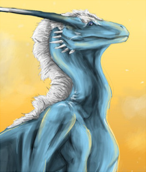 Awatar użytkownika