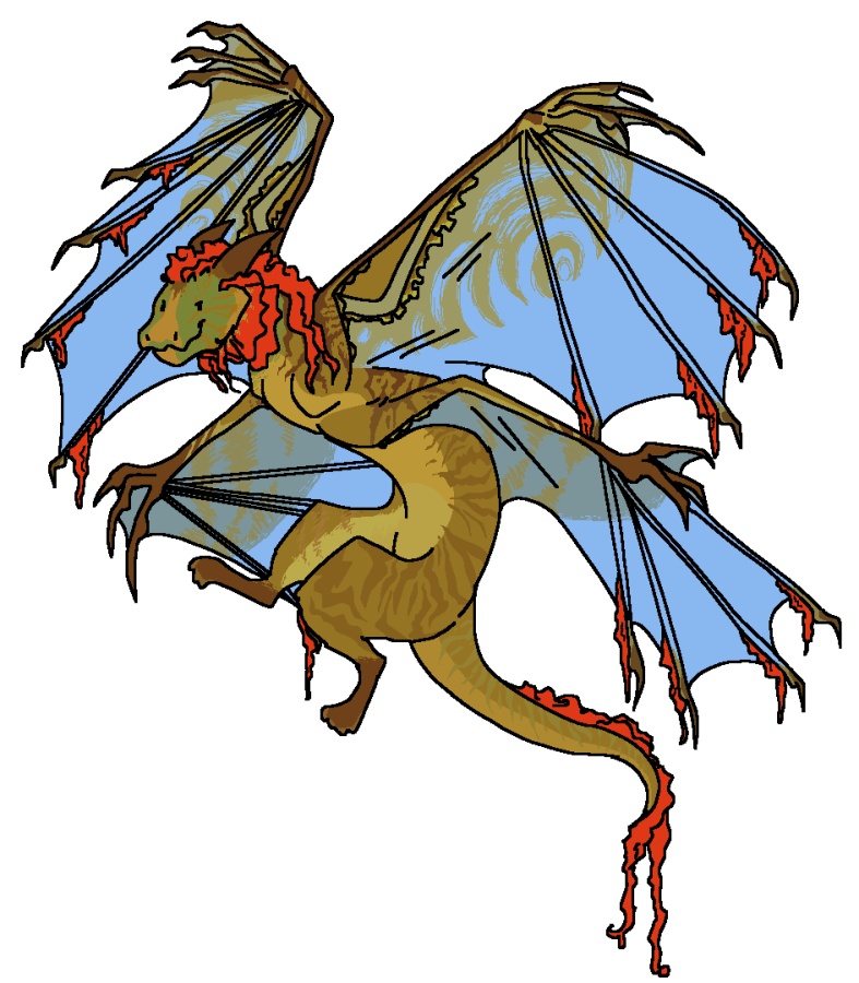 Obrazek