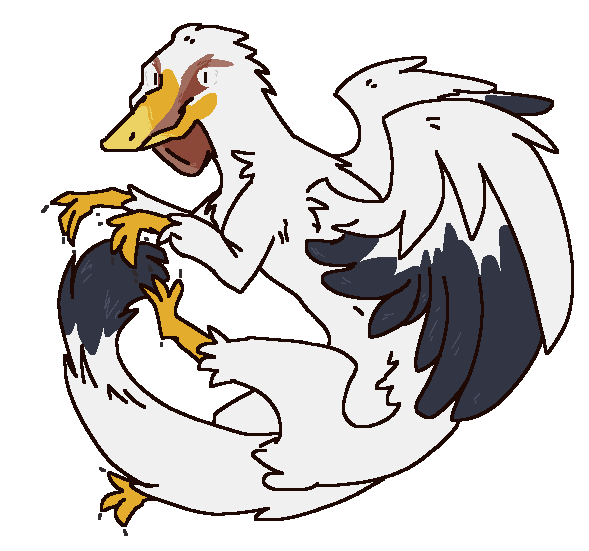 Obrazek